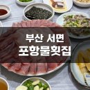 포항물횟집 | [부산 서면] 포항물횟집 대방어 맛집