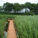 복내초교 이미지