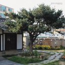 왕성여인숙 네이버블로그
