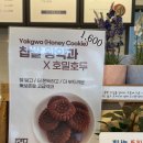 호밀호두 | 제주연동호두과자 호밀호두과자 본점 후기!
