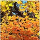 대한행정법률 행정사사무소 이미지