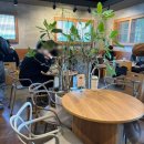인계로 270번길 22 | [경기/수원] ‘어반밸리801’ - 수원 인계동 카페 추천, 인계동 분위기 좋은 카페 내돈내산
