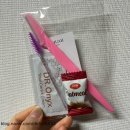 엘르무아 | 눈썹맛집 원당 엘르무아 : 눈썹반영구 & 속눈썹펌 후기❤️(재방문)
