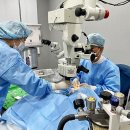 대신동물병원 이미지