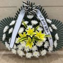 장례식장 - 은평구 통일로88길 21-2 | 장례식장