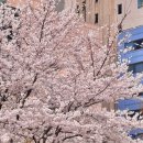 현대자동차 다대점 | 정몽구 재단 기자단 2기] CMK ONers 2기 최종합격 💙 | 면접 합격 후기 🎶 | 오너스 기자단 ㅣ 합격 꿀팁 🍯