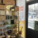 황신영 | 용인 성복동 미용실 황신영헤어앤스파 헤드스파 후기