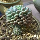 장호농장 이미지