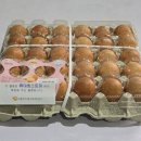 (주)크린플러스
