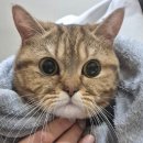 포토점프 챌린지 | 봉래면옥 평양냉면 후기