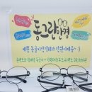 그레잇콘택트 네이버블로그