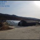 영오리 이미지