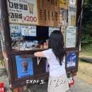 시골사진사 | 일본 여행 대마도 패키지 1박 2일, 1일차 씨플라워호 배멀미