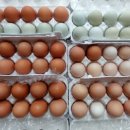 새온농원 이미지