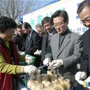 노은초 수상분교 이미지