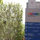 인계동 1116-11 | 인계동초밥 전문점 인생 스시를 만났다 진짜 맛집 마초