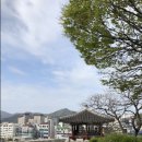 미미점빵 이미지
