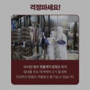 [ 구매지옥, 할매정성 소 갈비찜🍗 후기 ]