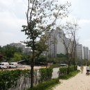 새유진약국 이미지