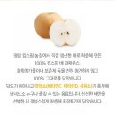 영임농장 이미지