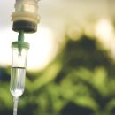 서현숲 가정의학과의원 이미지