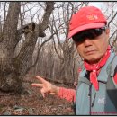 백두목장 이미지