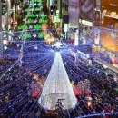 크리스마스 트리 축제 이미지