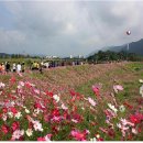 연천읍-6 이미지