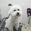 몽스샵