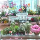 장미찻집 이미지