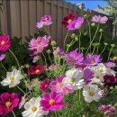 푸른하늘공인중개사사무소 이미지