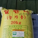 전라남도 신안군 증도) 유기농 쌀 된장 고추장 무화과쨈 ^^ 이미지