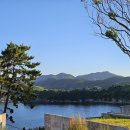 W181오션스테이 이미지