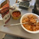 아르고스&coffee | [University of South Florida 교환일기 #3] 260201~260213