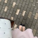 귀빈노래방 | [안산 상견례 후기] '들밥차반 안산선부점'에서 식사했어요🍱 / '플로에르' 기러기케이크 (+ 상견례 준비...