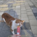 부창삼계탕 | 7월의 기록