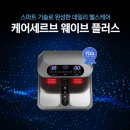 웰니스웨이브