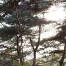 성흥산성산림욕장 네이버블로그