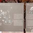 백운동 계곡 이미지