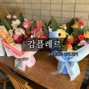 감플레르 이미지