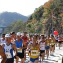 꾸니꾸니 이미지