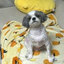 얄리포차 | 5월아 가지 마 ~! (쿠팡 부천 2센터 알바 후기)