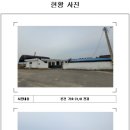211 이미지