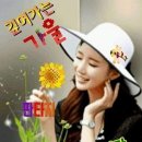 해피데이 이미지