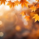 (주)트리플에이컴퍼니 이미지