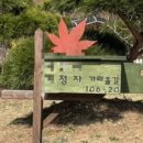 정자네펜션