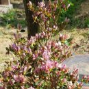 안태농장 이미지