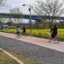 낙동강남지유채마을협동조합 이미지