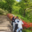 공주 포웰 프린세스cc 라운딩 후기 - 오르막 내리막 미친 난이도 코스