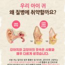 야옹아 멍멍해봐(수원 구운점) 이미지